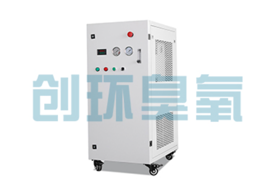 南开石斑鱼养殖水质调控完整指南:臭氧发生器配置与操作步骤